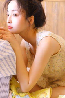 贵族大盗